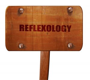Reflexology software 6