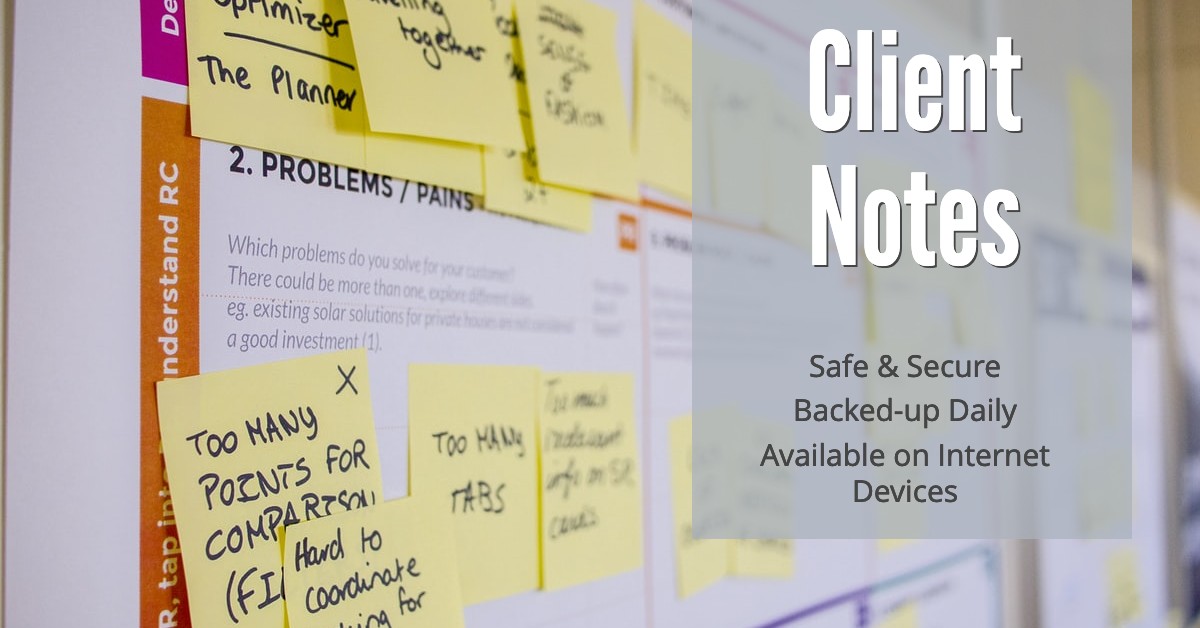 Client Notes | Treatment Notes | Client Management System - Online